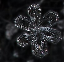 Snowflake Macro 3.jpg