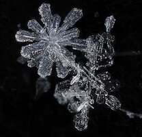 Snowflake Macro 4.jpg
