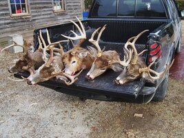 bucks.jpg