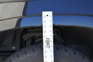 IMG_3019.jpg