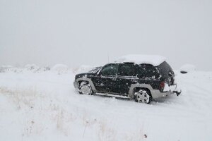 calvin's trailblazer3.jpg