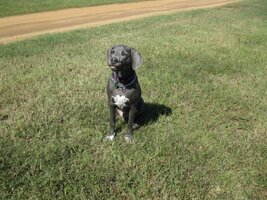 094 (2) (800x600).jpg