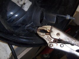 HPIM3899 (Medium).jpg