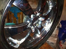 IMG_1484.jpg