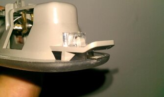 IMAG0209.jpg