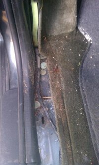 IMAG0175.jpg