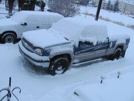 winter jan 20 2012 002.jpg