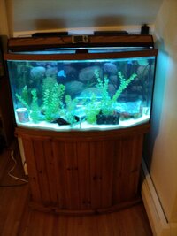 387708_2523191969315_1538820493_3795001_421136436_n (1).jpg