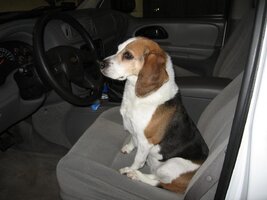 IMG_1187.jpg