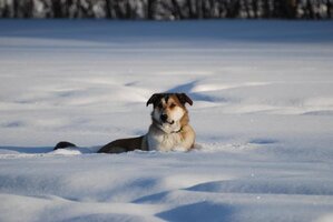 DSC_0568.jpg