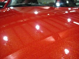 IMG_7892.jpg
