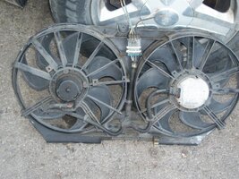 101_2784 (Large).jpg