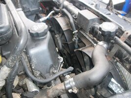 101_2781 (Large).jpg