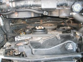 101_2780 (Large).jpg