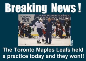 leafs.jpg