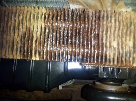 2012-04-11 19.03.30 (1024x768).jpg