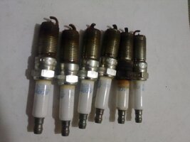 29042012079.jpg