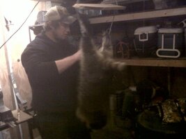 Coon 3.jpg
