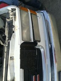 deer hit the truck.jpg