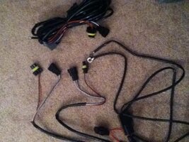 IMG_0399.jpg