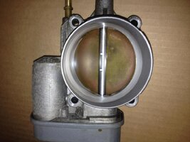 TB clean front (2).jpg