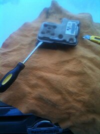 IMG_2029.jpg
