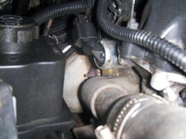 HPIM4087 (Large).jpg