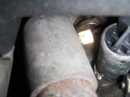 HPIM4089 (Large).jpg