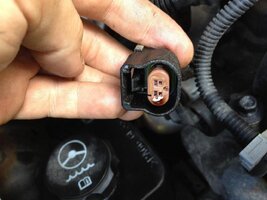 2012-08-25 11.32.58.jpg