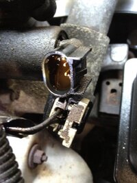 2012-08-25 11.30.59.jpg