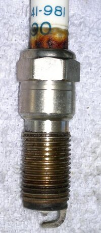 2012-09-16-352 - Copy.jpg