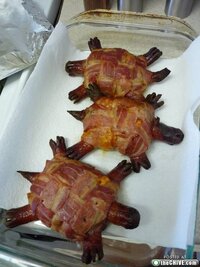 turtle-burger-0.jpg