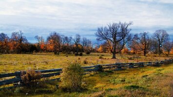 Quarry Road CP - GMT.jpg