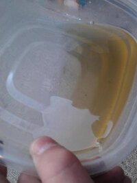 IMG_20121116_133914.jpg