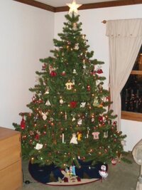 x-mas lites 2012 009.jpg