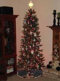 x-mas lites 2012 008.jpg