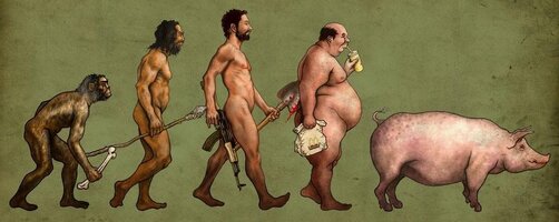 evolution-man-pig.jpg