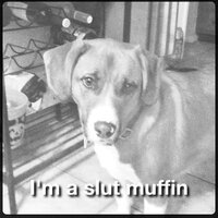 Scooter 3.jpg