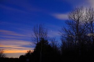_DSC0527 - Copy.jpg