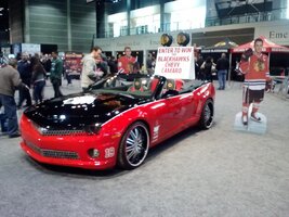 auto show2013 006.jpg