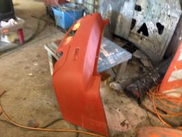 rearshavedphoto 3-5.jpg