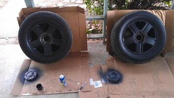 IMAG0667.jpg