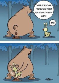 bear rabbit.jpg