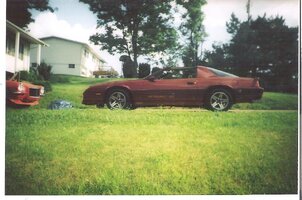 gators_pic's 1254.jpg