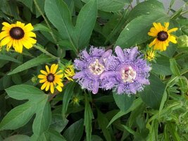 20120719_182713 (Small).jpg