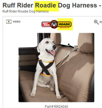 roadieharness.jpg