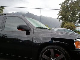 WP_000734.jpg