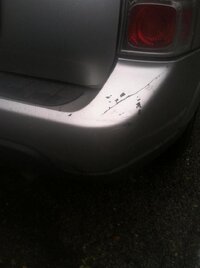 staci bumper.jpg