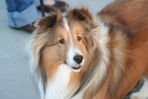 Samuel Birth!!! 036.jpg