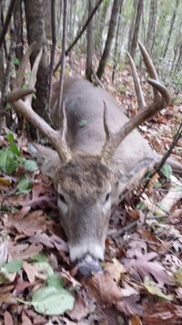 20131104_101731.jpg